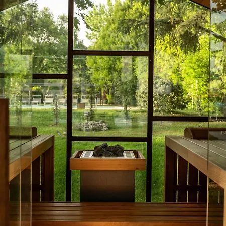 大西洋公园酒店 酒店