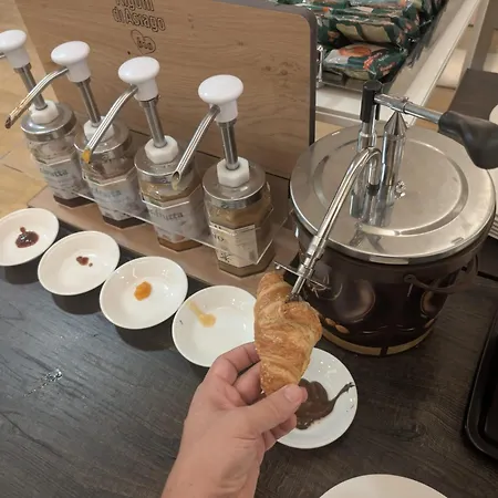 酒店 大西洋公园酒店 菲乌吉